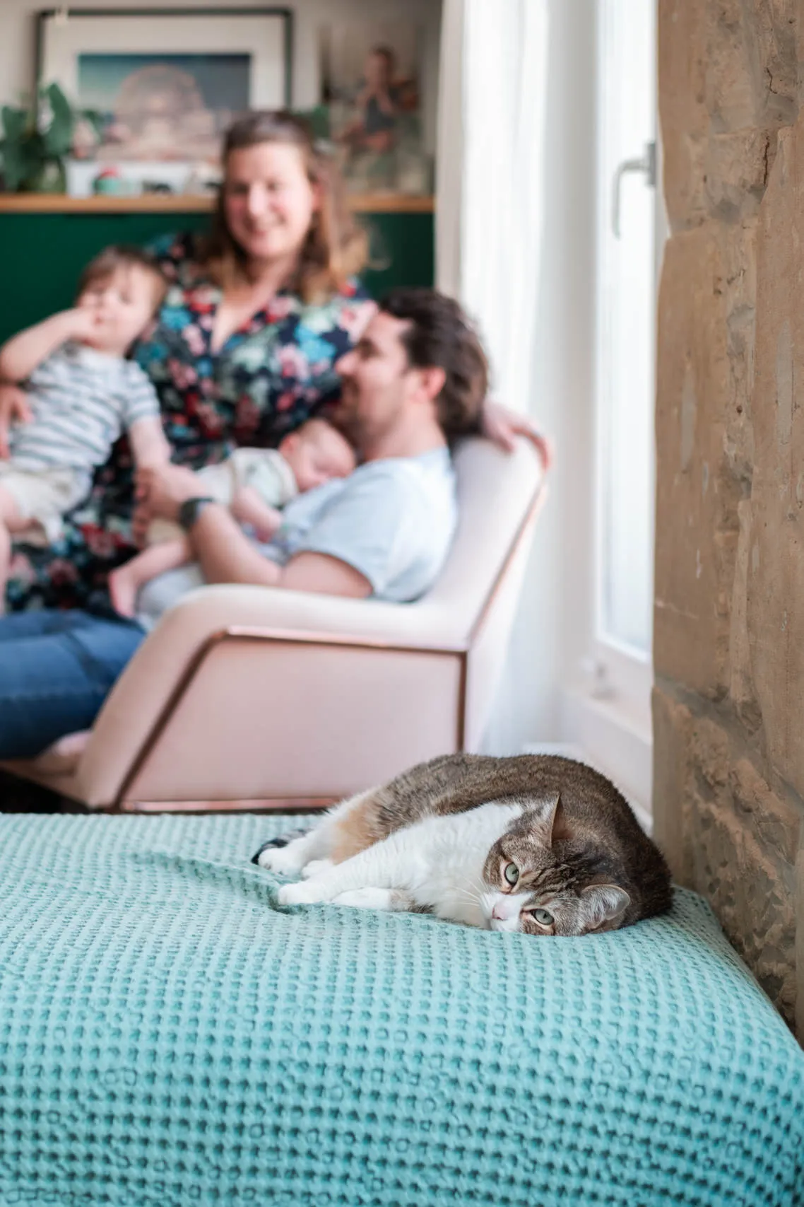 Chat en avant plan, la famille en flou en arrière plan, lors d'une séance photo en famille à domicile